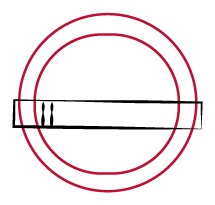 Ring inner and outer diameter.